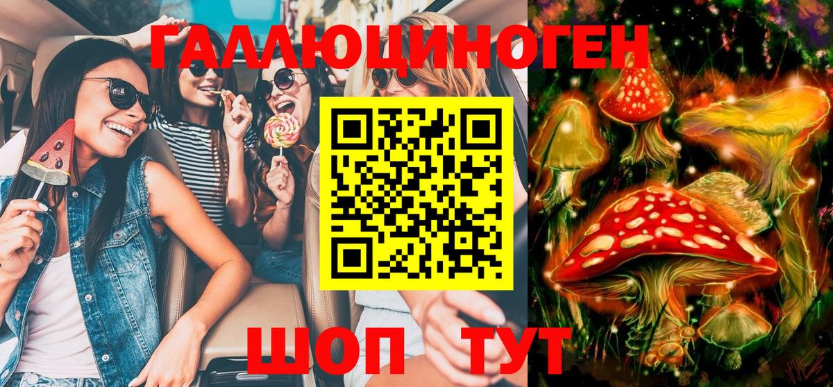 где купить   Вход с VPN  Изобильный  Псилоцибиновые грибы Psilocybe 
